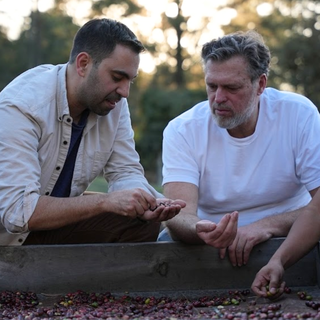 Hovik Azadkhanian and Rick Bolander Heirloom Coffee Roasters co-founders, inspecting regenerative coffee plants