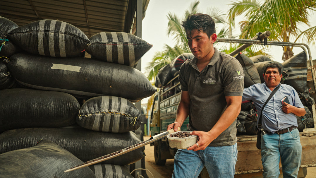 1Screenshot 2025-10-01 at 9.01.15 PMED.JPG__PID:f18849e0-1ed7-45ef-ae18-a5960b9389aa