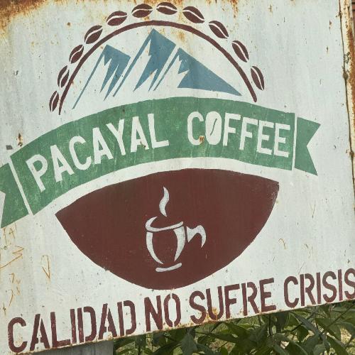 ROC Certified Honduras Coffee